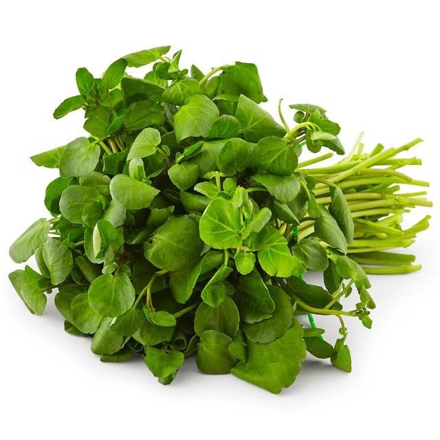 berro-watercress